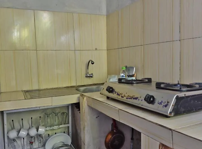 The Banana House
