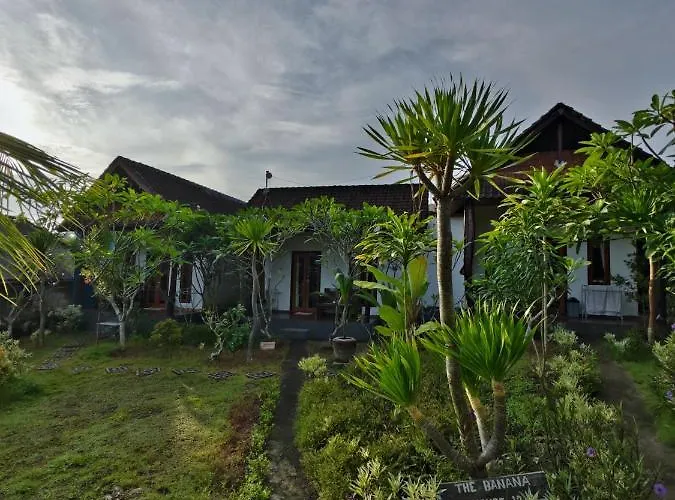 The Banana House 3*