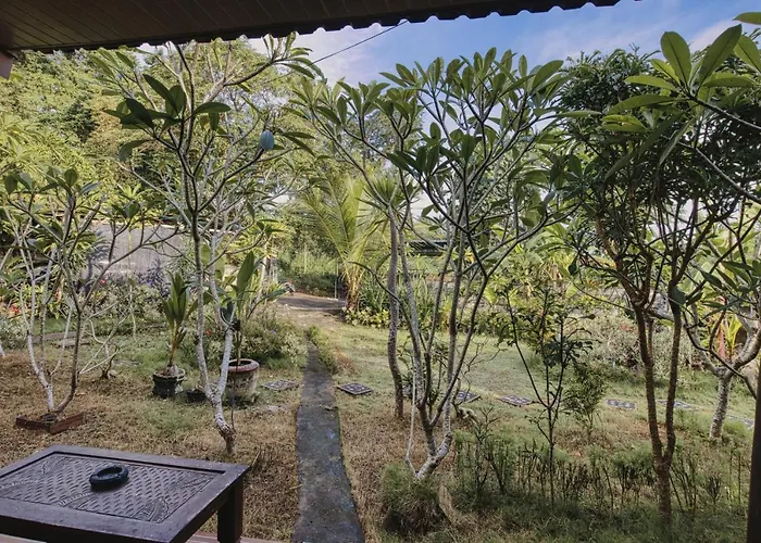 The Banana House ゲストハウス Sakti