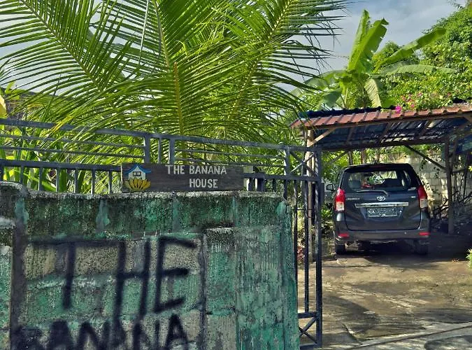 The Banana House
