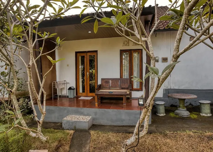 The Banana House